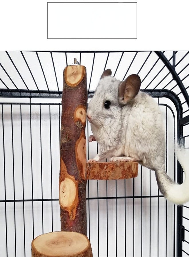Barn Eleven Chinchilla Large Hanging Wooden Rotating Platform - Small Animal Natural Fruit Wood Standing Platform for Squirrels, Sugar Gliders & Birds - Image 5